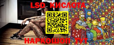 сатива Кингисепп