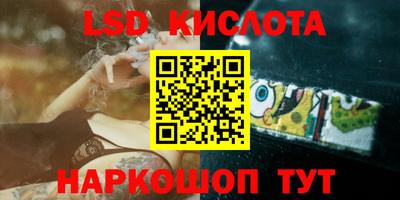 сатива Кингисепп