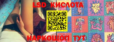 сатива Кингисепп