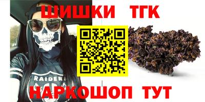 сатива Кингисепп